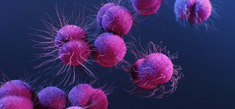 Día internacional de la lucha contra el cancer de pulmón